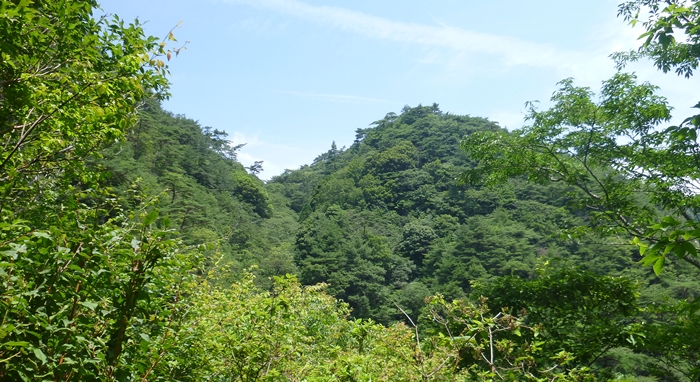 f:id:aw2q:20140712201624j:image