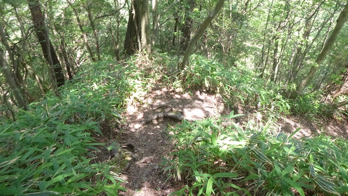 f:id:aw2q:20140712201625j:image