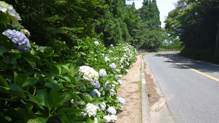 f:id:aw2q:20140712201628j:image