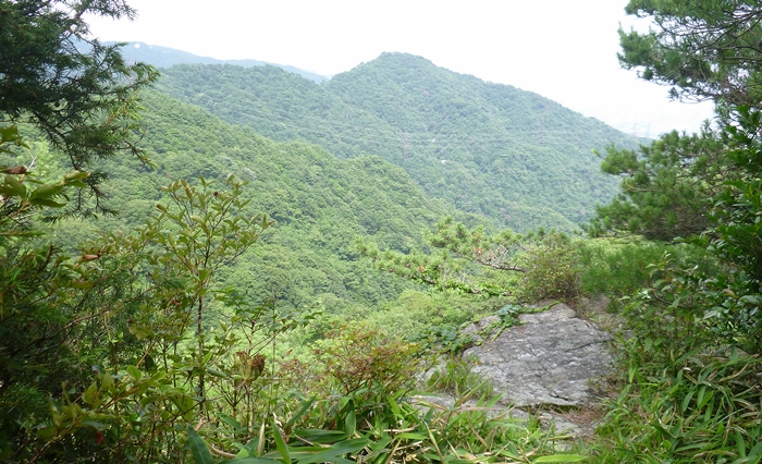f:id:aw2q:20140713152039j:image