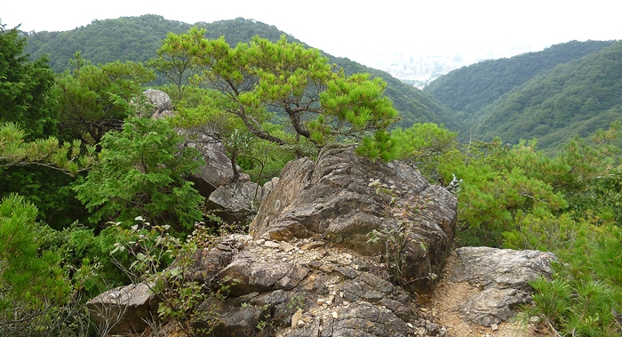 f:id:aw2q:20140830175831j:image f:id:aw2q:20140830175831j:image