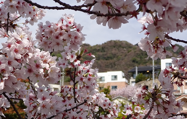 f:id:aw2q:20150404185748j:image