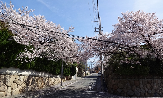 f:id:aw2q:20150404185754j:image