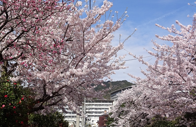 f:id:aw2q:20150404185755j:image