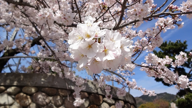 f:id:aw2q:20150404185756j:image
