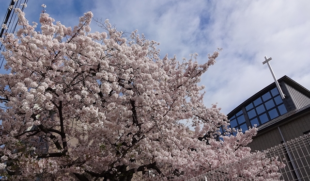 f:id:aw2q:20150404185800j:image