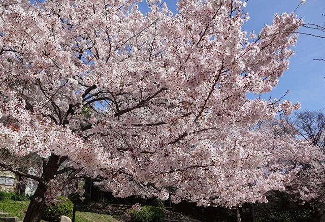 f:id:aw2q:20150404185836j:image