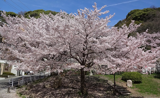 f:id:aw2q:20150404185837j:image