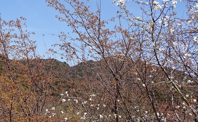 f:id:aw2q:20150405104246j:image