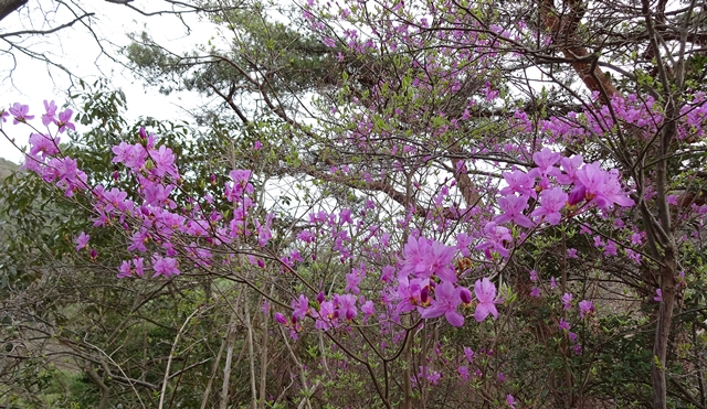 f:id:aw2q:20150405130127j:image