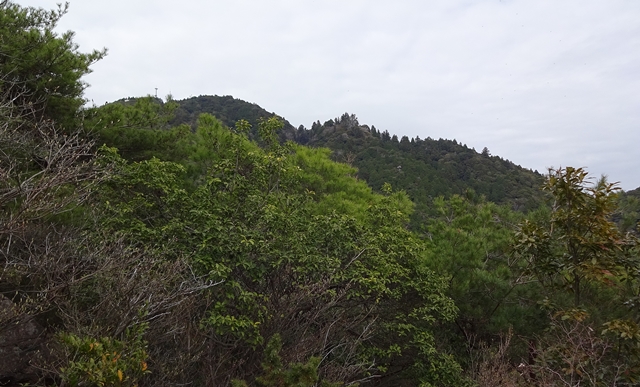 f:id:aw2q:20150405130131j:image