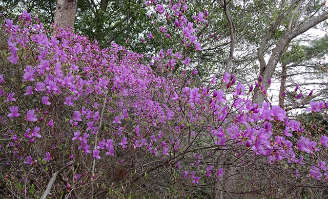 f:id:aw2q:20150405130132j:image