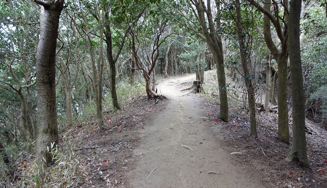 f:id:aw2q:20150405130135j:image