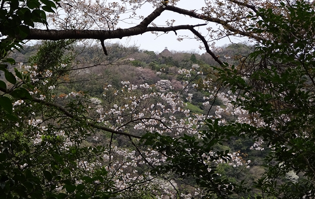 f:id:aw2q:20150405130250j:image
