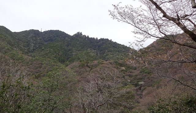 f:id:aw2q:20150405130256j:image
