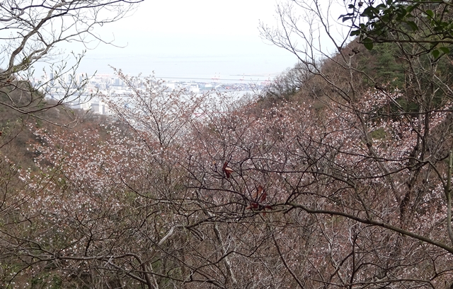 f:id:aw2q:20150405130258j:image