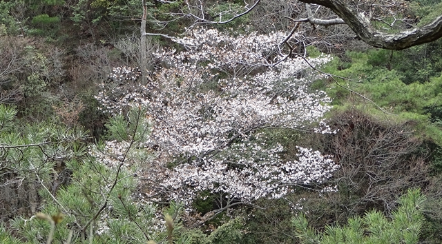f:id:aw2q:20150405130303j:image