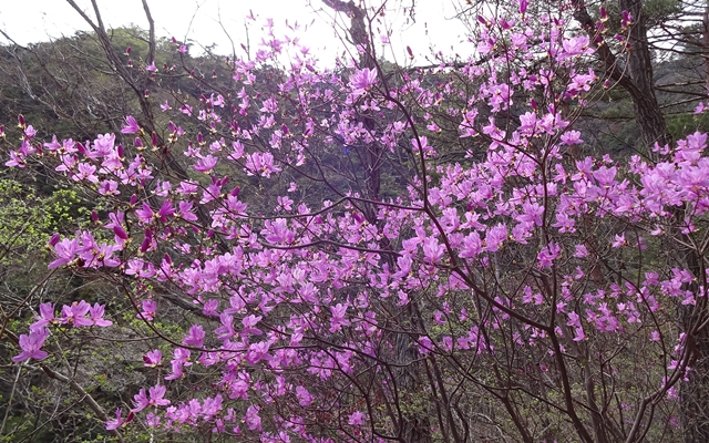 f:id:aw2q:20150405130304j:image