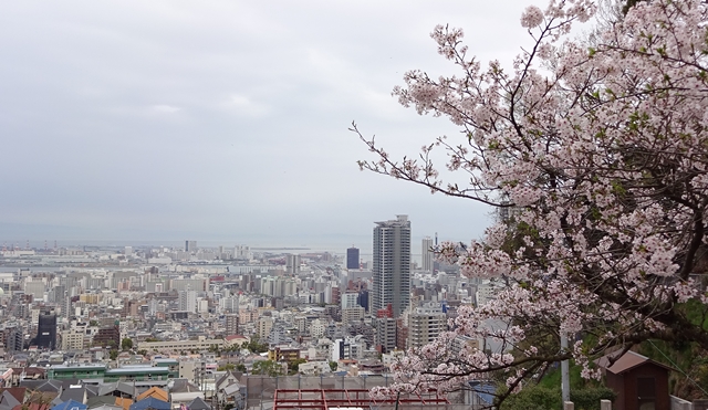 f:id:aw2q:20150405130337j:image