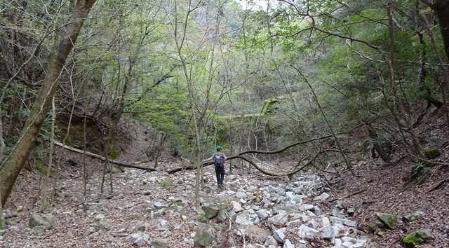 f:id:aw2q:20150405141231j:image