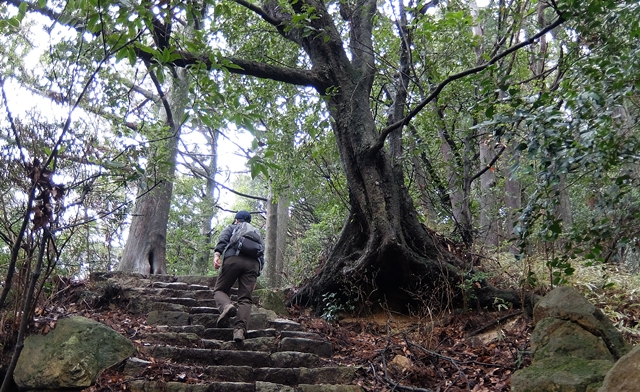 f:id:aw2q:20150411202954j:image