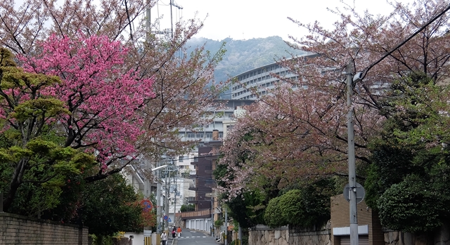 f:id:aw2q:20150411202958j:image