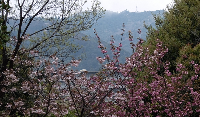 f:id:aw2q:20150411202959j:image