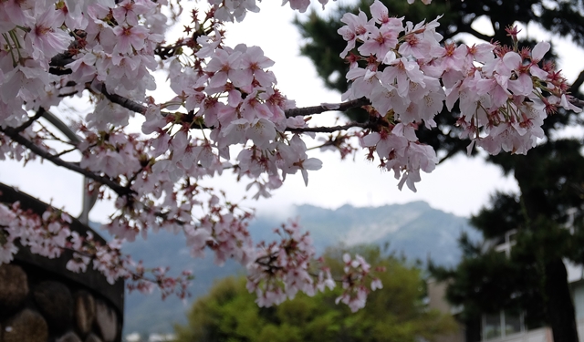 f:id:aw2q:20150411203000j:image