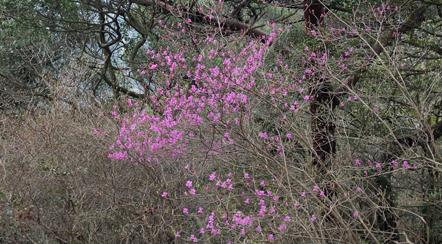 f:id:aw2q:20150411223400j:image
