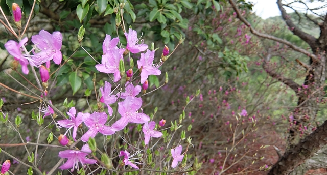 f:id:aw2q:20150412182844j:image