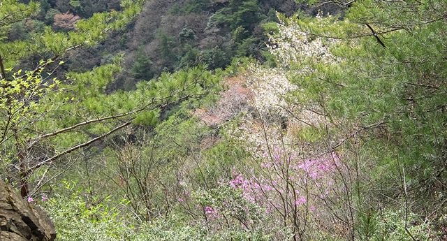 f:id:aw2q:20150412182845j:image