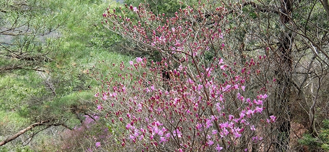 f:id:aw2q:20150412182846j:image