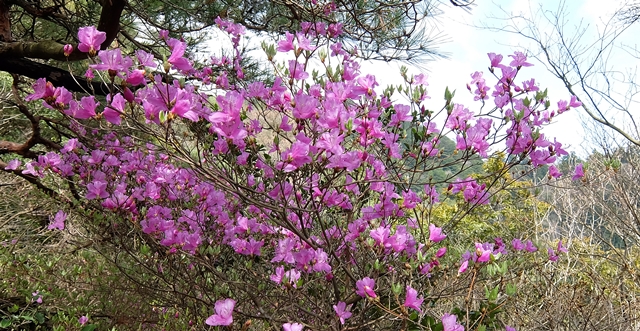 f:id:aw2q:20150412182847j:image
