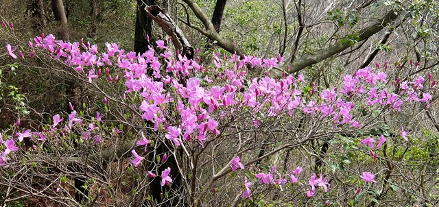 f:id:aw2q:20150412182848j:image
