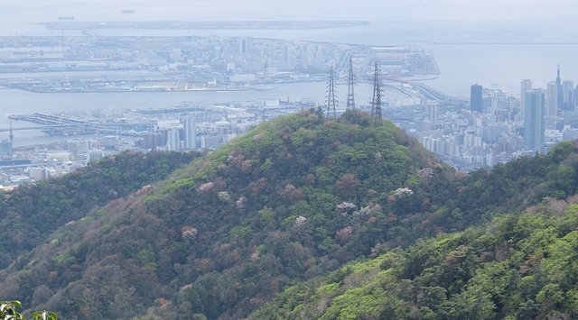 f:id:aw2q:20150412182849j:image