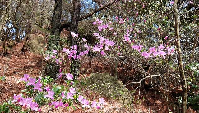 f:id:aw2q:20150412182850j:image
