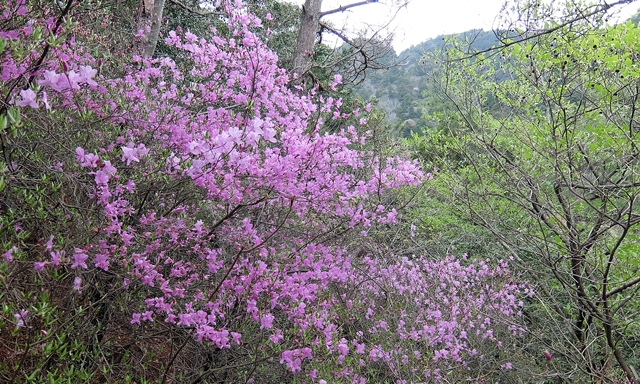 f:id:aw2q:20150412183005j:image