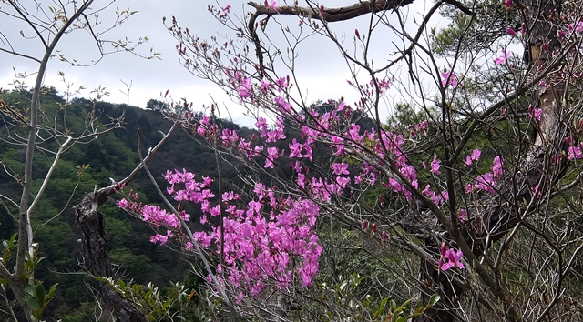 f:id:aw2q:20150412183006j:image