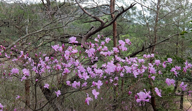 f:id:aw2q:20150412183007j:image