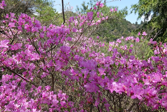 f:id:aw2q:20150412183008j:image