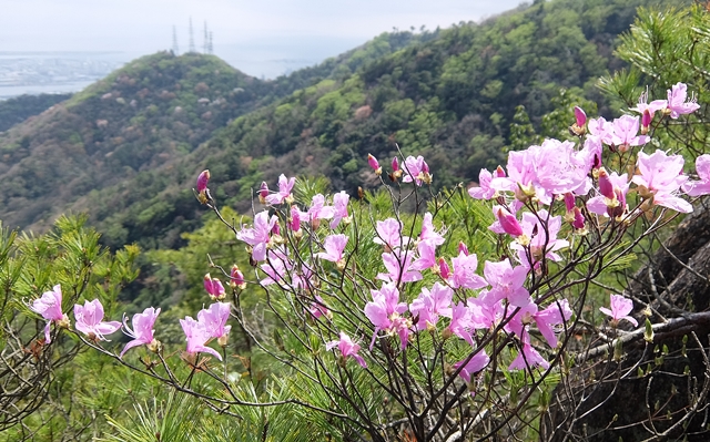 f:id:aw2q:20150412183009j:image