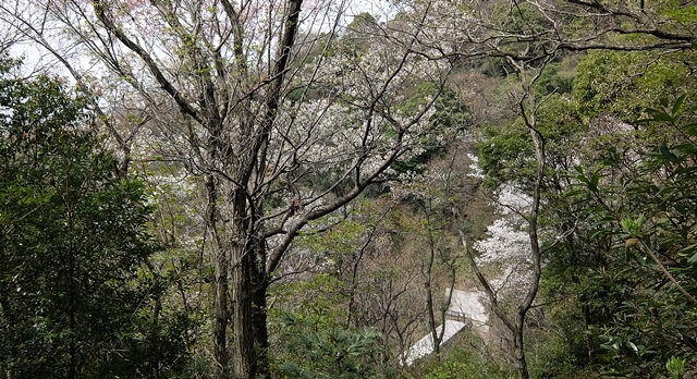 f:id:aw2q:20150412195810j:image f:id:aw2q:20150412195810j:image