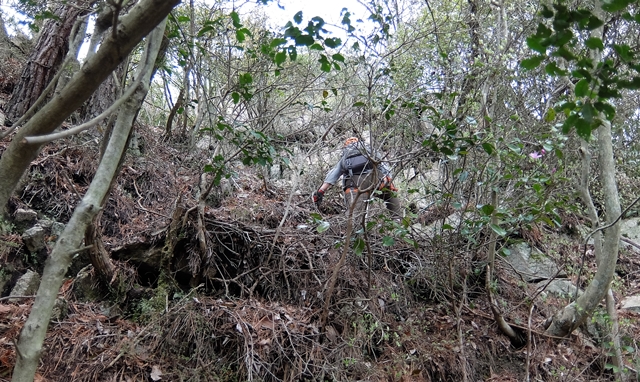 f:id:aw2q:20150412200031j:image f:id:aw2q:20150412200031j:image