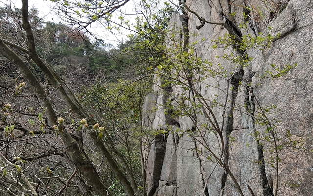 f:id:aw2q:20150412200036j:image f:id:aw2q:20150412200036j:image