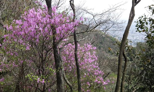 f:id:aw2q:20150412200037j:image f:id:aw2q:20150412200037j:image