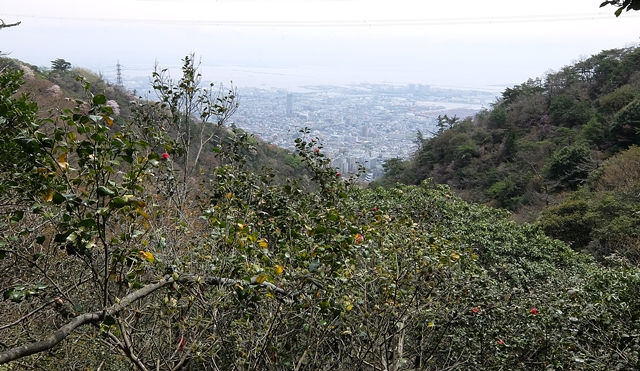 f:id:aw2q:20150412200038j:image f:id:aw2q:20150412200038j:image