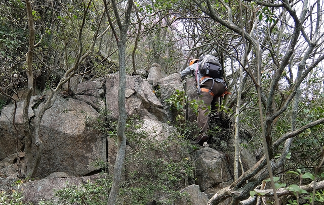 f:id:aw2q:20150412200040j:image f:id:aw2q:20150412200040j:image