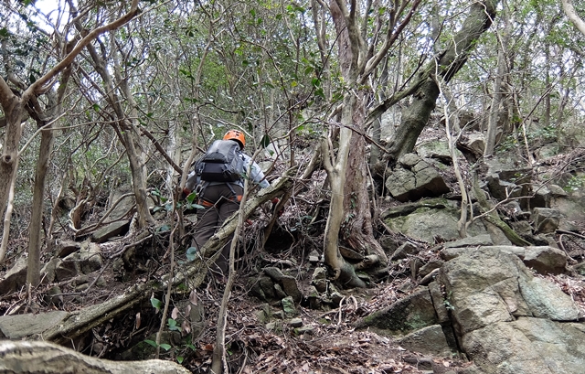 f:id:aw2q:20150412200043j:image f:id:aw2q:20150412200043j:image