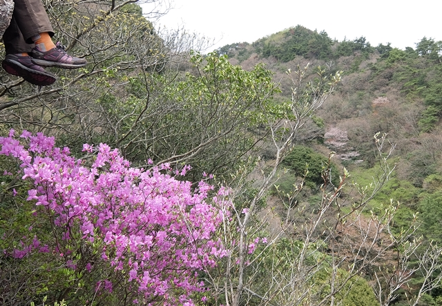 f:id:aw2q:20150412200557j:image