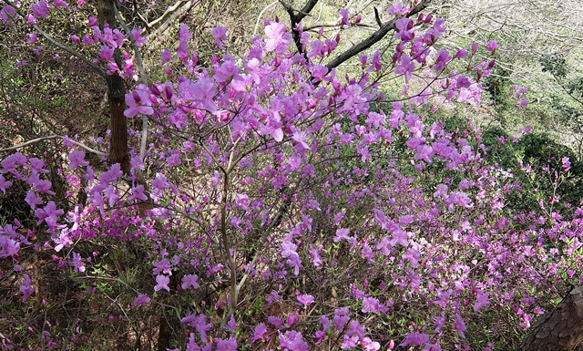 f:id:aw2q:20150418202018j:image